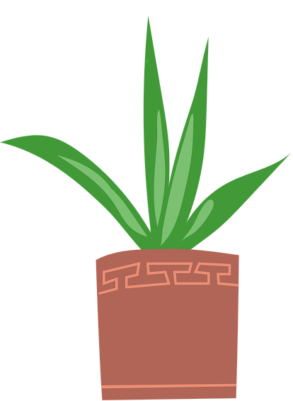 picture of a potted plant